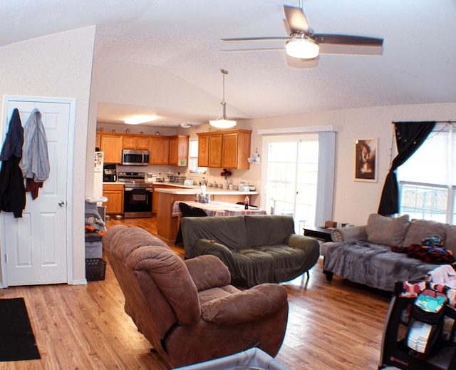 living room with a wealth of natural light, vaulted ceiling, and light wood-type flooring