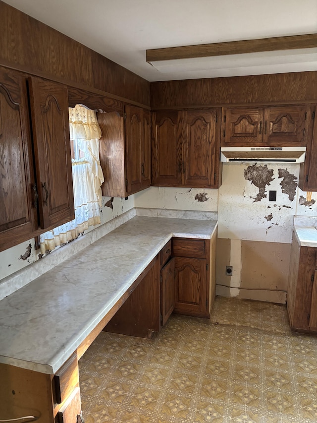 kitchen featuring dark brown cabinets