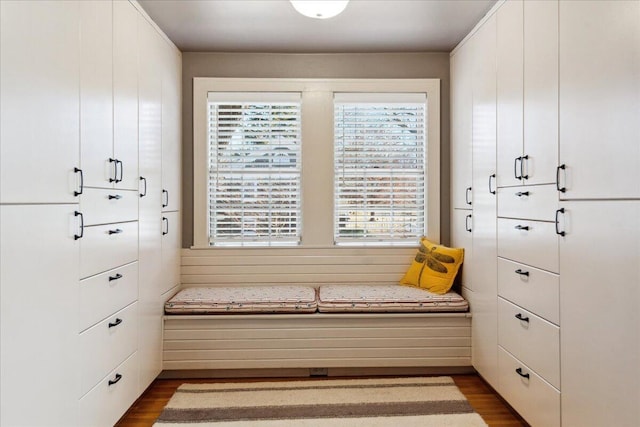 sitting room featuring dark hardwood / wood-style flooring and wood walls