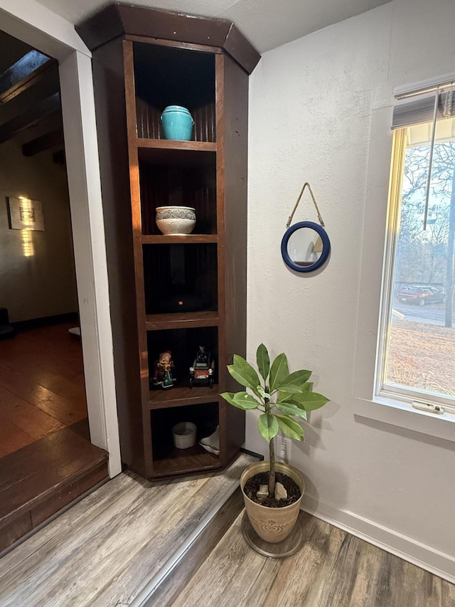 interior details with hardwood / wood-style floors