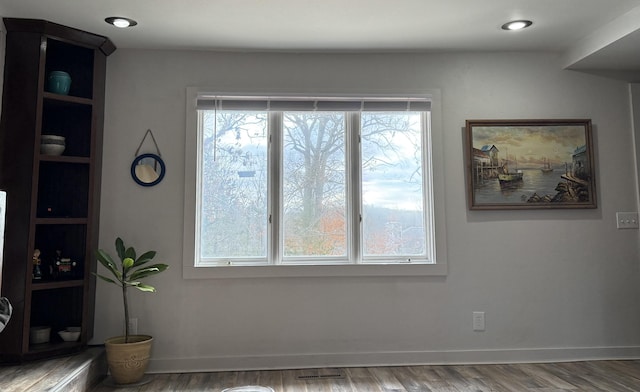 interior space with hardwood / wood-style flooring and plenty of natural light