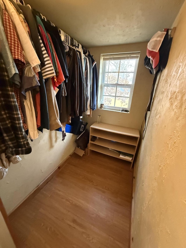 spacious closet with light wood-type flooring