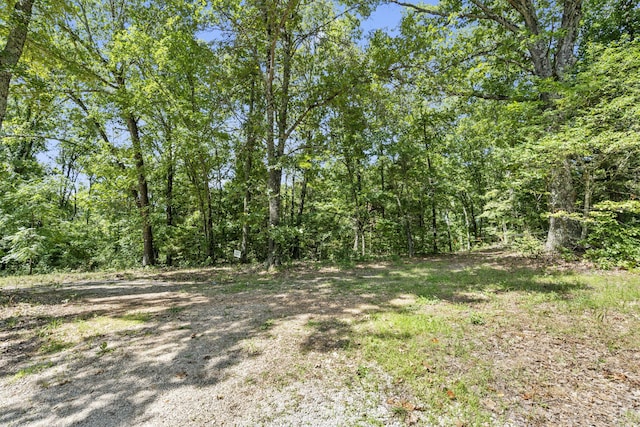 Listing photo 3 for LOT19 Mccord Bend Rd, Galena MO 65656