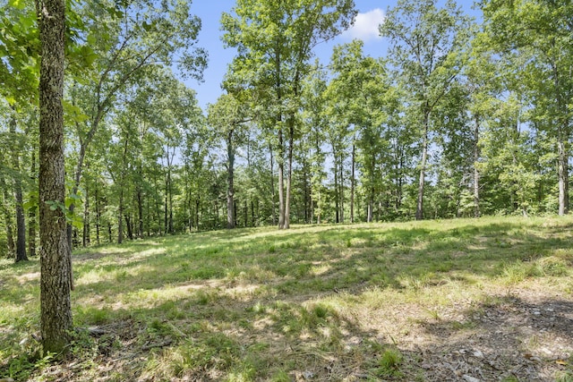 LOT19 Mccord Bend Rd, Galena MO, 65656 land for sale