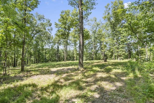 Listing photo 2 for LOT19 Mccord Bend Rd, Galena MO 65656