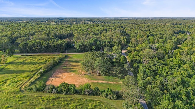 bird's eye view