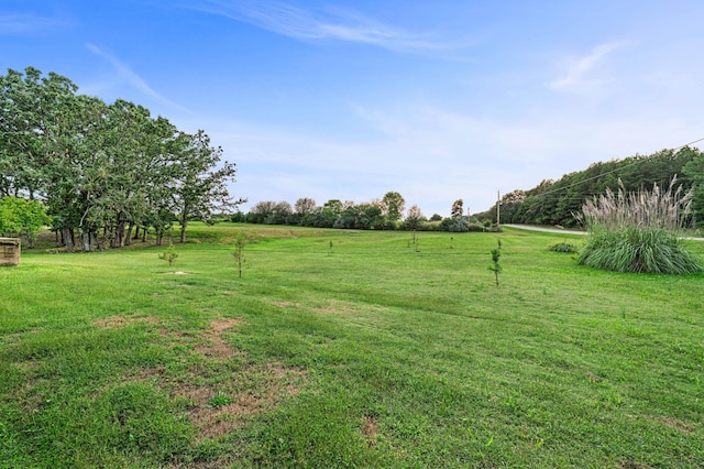 view of yard with a rural view