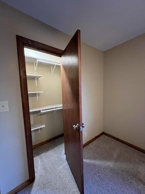 spacious closet with light carpet