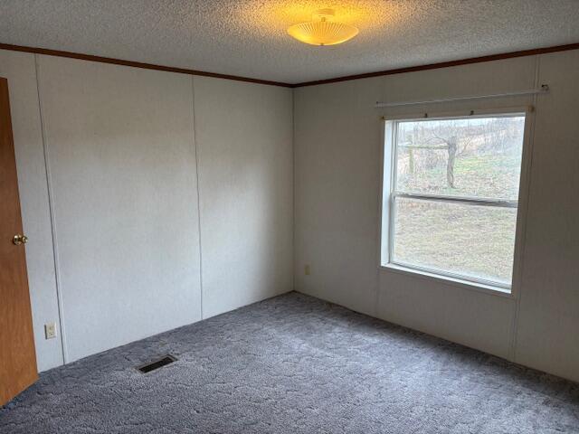 carpeted spare room featuring crown molding and a textured ceiling