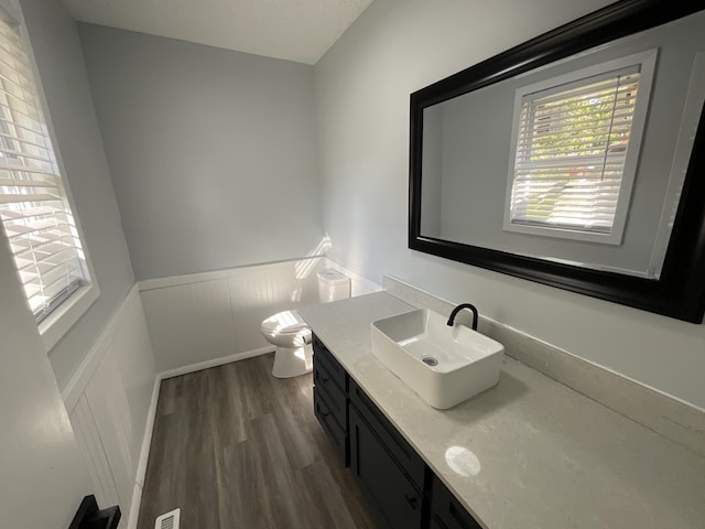 bathroom with hardwood / wood-style flooring, vanity, and toilet