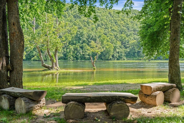 view of property's community with a water view and a forest view