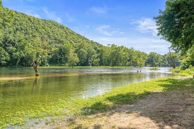 property view of water featuring a forest view