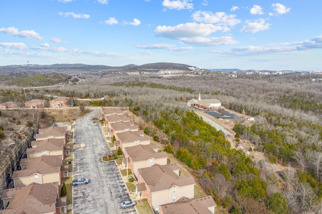 bird's eye view featuring a mountain view