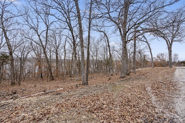 view of landscape