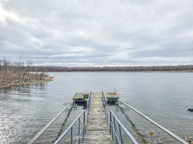 dock area with a water view