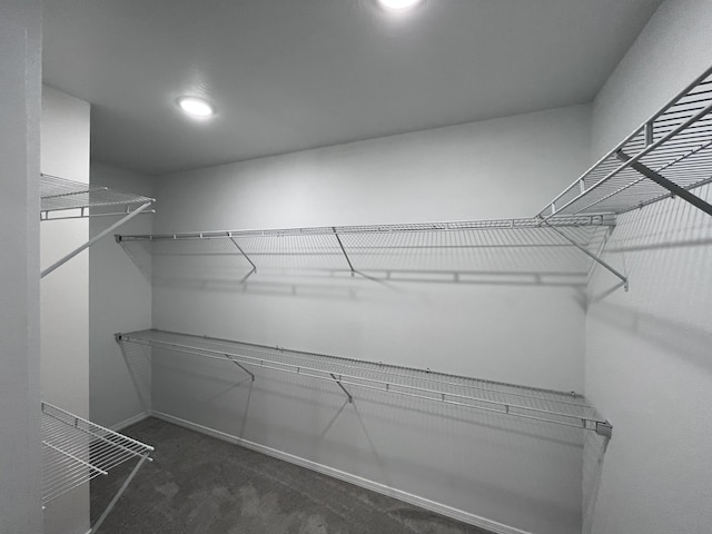 spacious closet with dark carpet