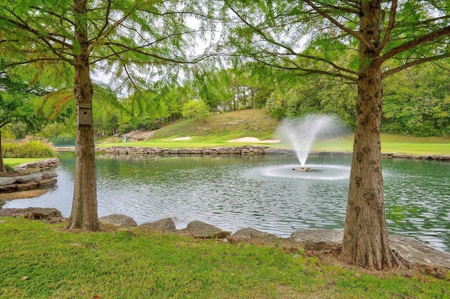 view of water feature