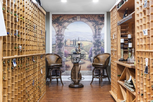 wine cellar featuring hardwood / wood-style floors