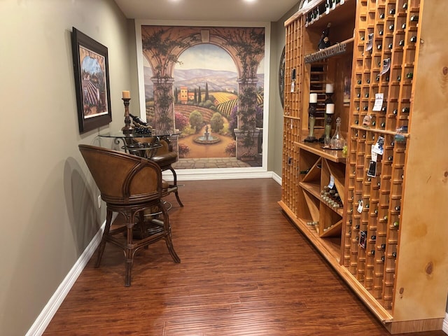 wine cellar with baseboards and wood finished floors