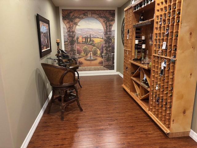 wine area featuring baseboards and wood finished floors