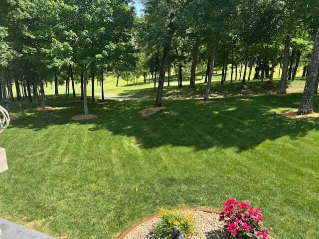 119 Silver Oak Way, Branson West, MO 65737 - view of green lawn