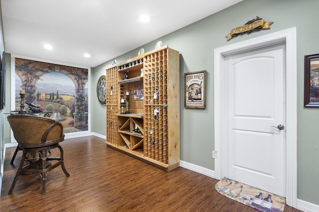 119 Silver Oak Way, Branson West, MO 65737 - wine cellar featuring wood finished floors and recessed lighting