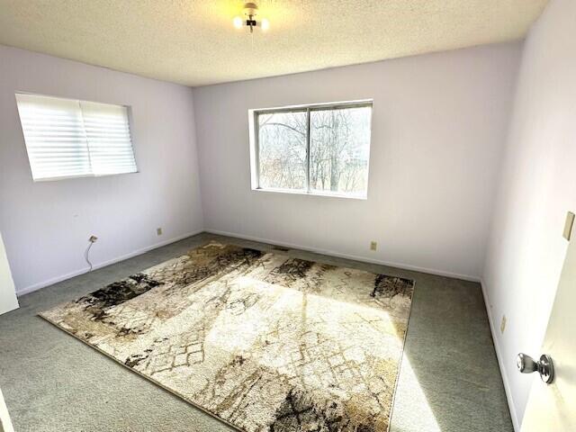 160 Old Glory Rd, Branson, MO 65616 - unfurnished room with carpet and a textured ceiling