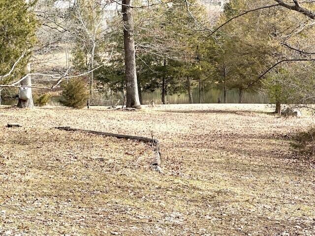 160 Old Glory Rd, Branson, MO 65616 - view of local wilderness
