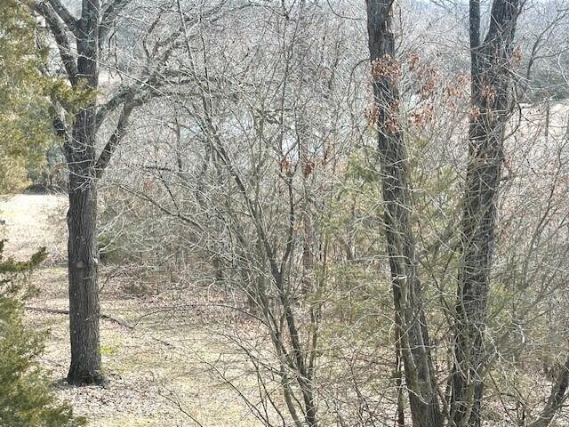 160 Old Glory Rd, Branson, MO 65616 - view of nature