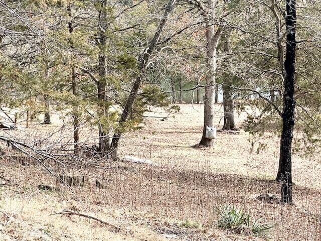 160 Old Glory Rd, Branson, MO 65616 - view of landscape