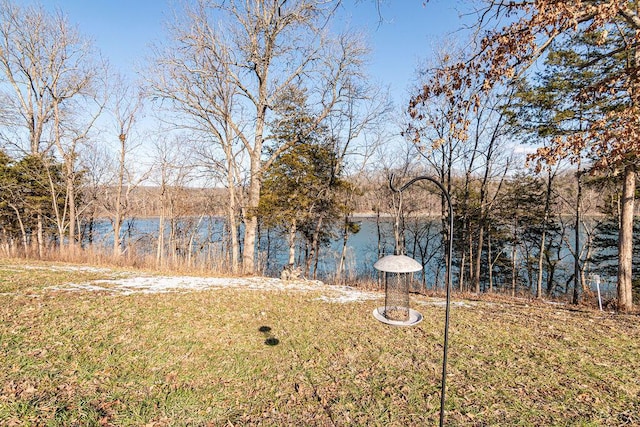 view of yard featuring a water view