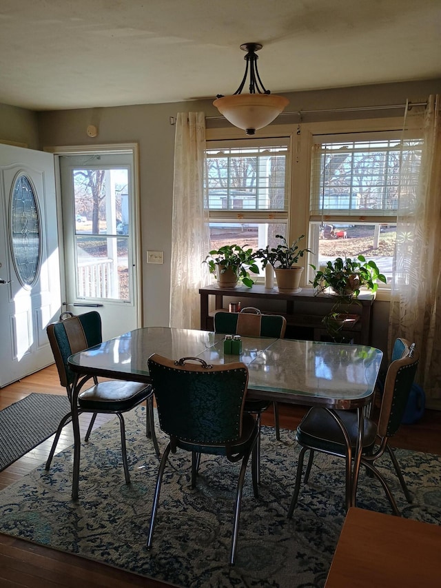 dining space featuring hardwood / wood-style floors