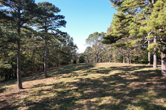 264 County Road 1130, Willow Springs, MO 65793 - photo 92