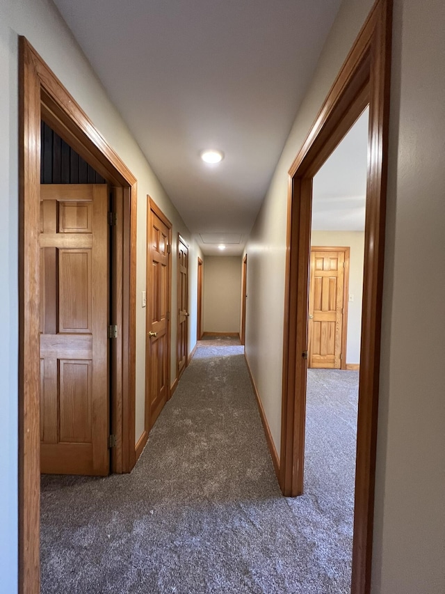 264 County Road 1130, Willow Springs, MO 65793 - photo 37