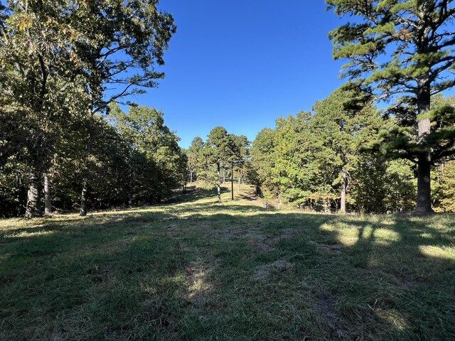 264 County Road 1130, Willow Springs, MO 65793 - photo 87