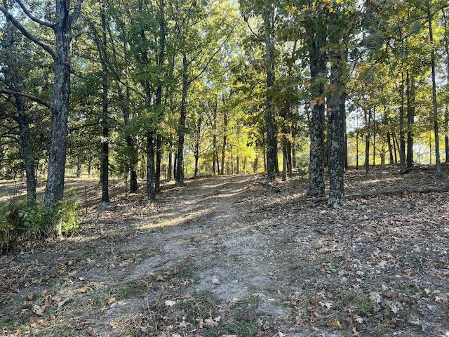 264 County Road 1130, Willow Springs, MO 65793 - photo 84