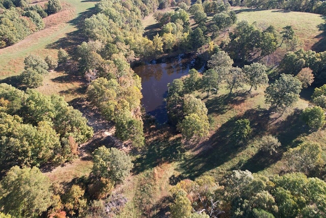 264 County Road 1130, Willow Springs, MO 65793 - photo 98