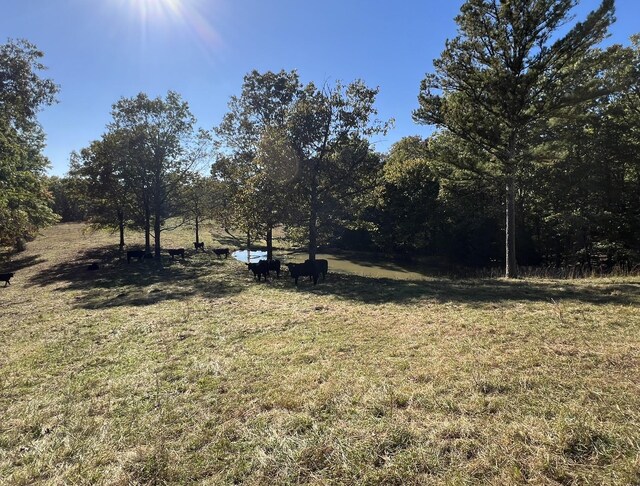 264 County Road 1130, Willow Springs, MO 65793 - photo 90