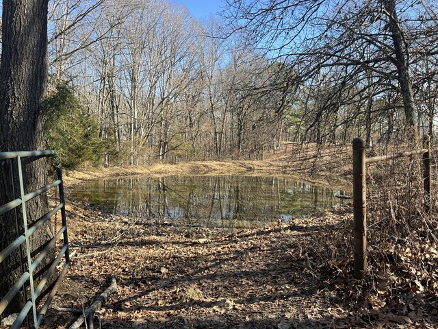 264 County Road 1130, Willow Springs, MO 65793 - photo 83