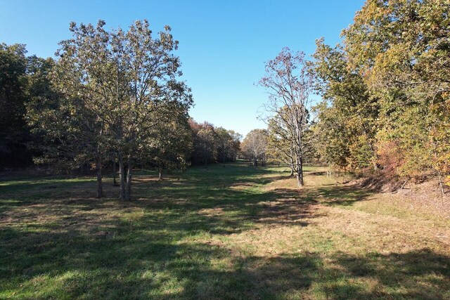264 County Road 1130, Willow Springs, MO 65793 - photo 104