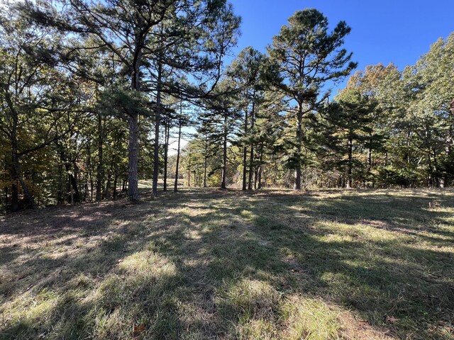 264 County Road 1130, Willow Springs, MO 65793 - photo 91