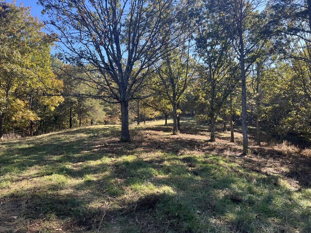 264 County Road 1130, Willow Springs, MO 65793 - photo 80