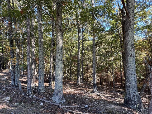 264 County Road 1130, Willow Springs, MO 65793 - photo 97