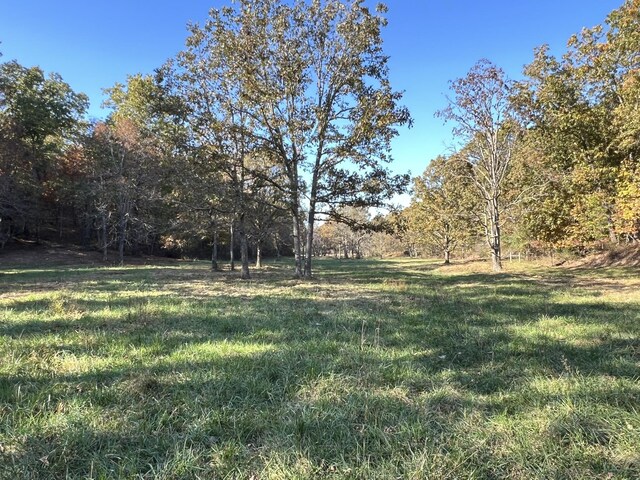 264 County Road 1130, Willow Springs, MO 65793 - photo 103