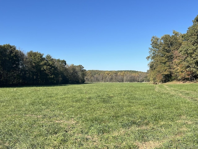 264 County Road 1130, Willow Springs, MO 65793 - photo 10