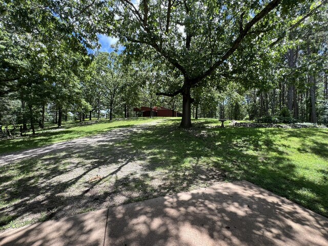 264 County Road 1130, Willow Springs, MO 65793 - photo 73