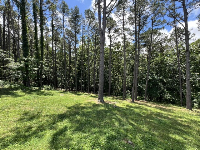 264 County Road 1130, Willow Springs, MO 65793 - photo 33