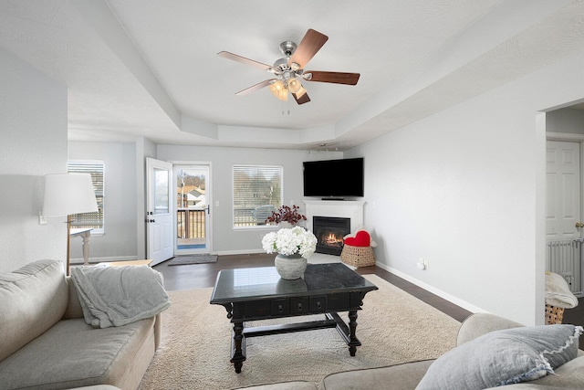 living room with wood-type flooring, ceiling fan, and a tray ceiling