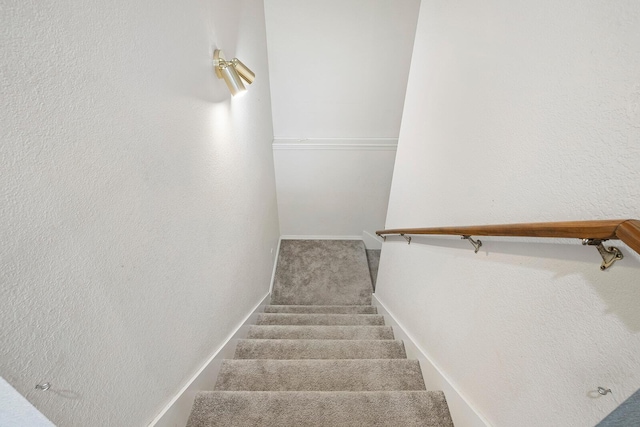 staircase featuring carpet