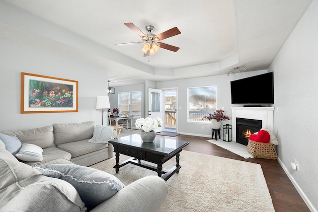 living room featuring dark wood-type flooring, ceiling fan, and a tray ceiling